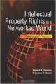 Intellectual Property Rights in a Networked World: : Theory and Practice, 