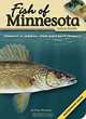 Fish of Minnesota Field Guide, Dave Bosanko 