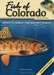 Fish of Colorado Field Guide (Fish Of...), Dan Johnson 