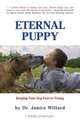 Eternal Puppy: Groundbreaking Veterinary Advanaces to Enrich Your Senior Dog