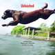 Unleashed: Climbing Canines, Hiking Hounds, Fishing Fidos, and Other Daring Dogs, Lisa Wogan 