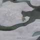 The Last Polar Bear: Facing the Truth of a Warming World, 