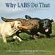 Why Labs Do That: A Collection of Curious Labrador Retriever Behavior, Tom Davis 
