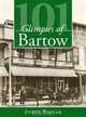 101 Glimpses of Bartow, Steve Rajtar 