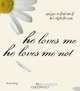 He Loves Me, He Loves Me Not: Quizzes to Find Out If He