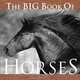 The Big Book of Horses, 
