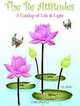 The Be Attitudes: A Catalog of Life & Light, Be Be 