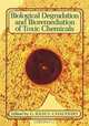 Biological Degradation and Bioremediation of Toxic Chemicals, G. Rasul Chaudhry 