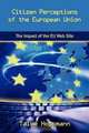 Citizen Perceptions of The European Union: The Impact of the EU Web Site, Talke Hoppmann 
