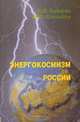 Энергокосмизм России, Бушуев В., Копылов И. 
