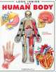 Look Inside: The Human Body, Luann Colombo 