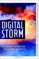 Digital Storm: Fresh Business Strategies from the Electronic Marketplace, Philipp Gerbert, Alex Birch 