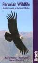 Peruvian Wildlife: A Visitor