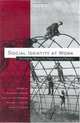 Social Identity at Work: Developing Theory for Organizational Practice, 