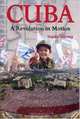 Cuba: A Revolution in Motion, Isaac Saney 