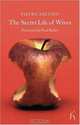 The Secret Life of Wives (Hesperus Classics Series), Pietro Aretino 