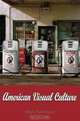 American Visual Culture, Mark Rawlinson 