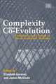 Complexity And Co-Evolution: Continuity And Change In Socio-Economic Systems, 