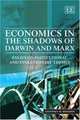 Economics in the Shadows of Darwin And Marx: Essays on Institutional And Evolutionary Themes, Geoffrey M. Hodgson 