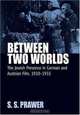 Between Two Worlds: The Jewish Presence In German And Austrian Film, 1910-1933 (Film Europa: German Cinema in an International Context), S. S. Prawer 