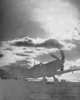Sea Flight: A Fleet Air Arm Pilot