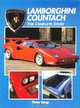 Lamborghini Countach: The Complete Story, P Dron 