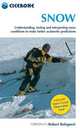 Snow: Understanding, Testing And Interpreting Snow Conditions to Make Better, Robert Bolognesi 