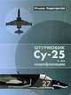 Штурмовик Су-25 и его модификации, Ильдар Бедретдинов 