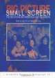 Big Picture, Small Screen : The Relations Between Film and Television (Acamedia Research Monograph (Paperback)), 