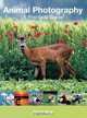 Animal Photography : A Practical Guide, Robert Maier 