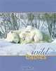 Wild Babies, Nan Richardson 